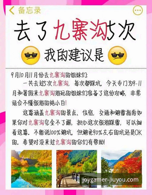 一位资深手游玩家的九游APP平台使用心得：九游安全吗？深度解析